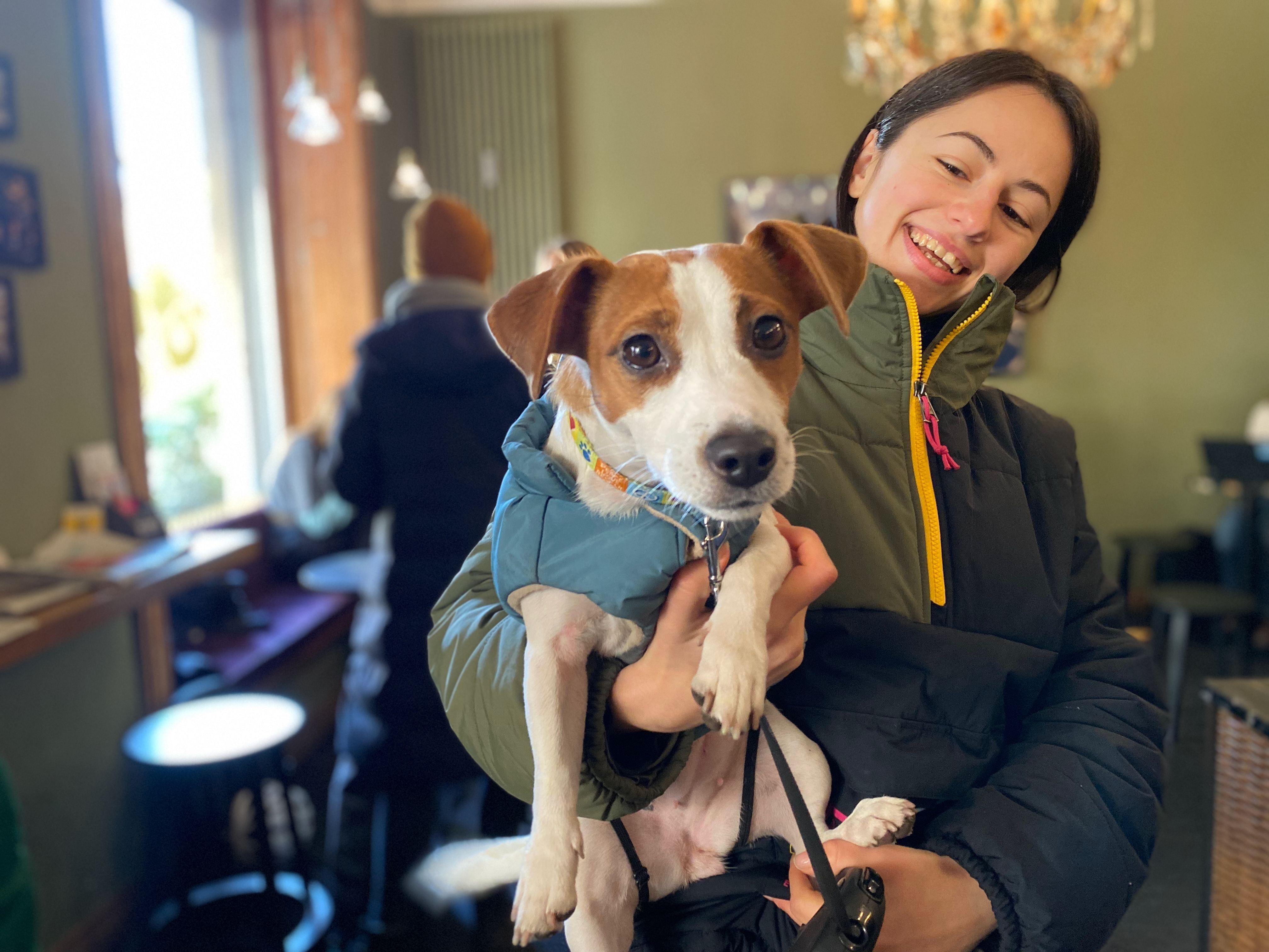 Jack Russell Terrier wird im Café auf de Arm gehalten -  Hundefoto für ein Gewinnspiel zum Einreichen