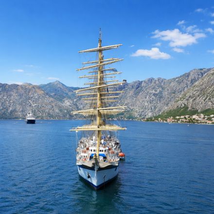 Hundekreuzfahrt Angebote - Kreuzfahrt mit Hund auf einem Schiff vor Küstenlandschaft