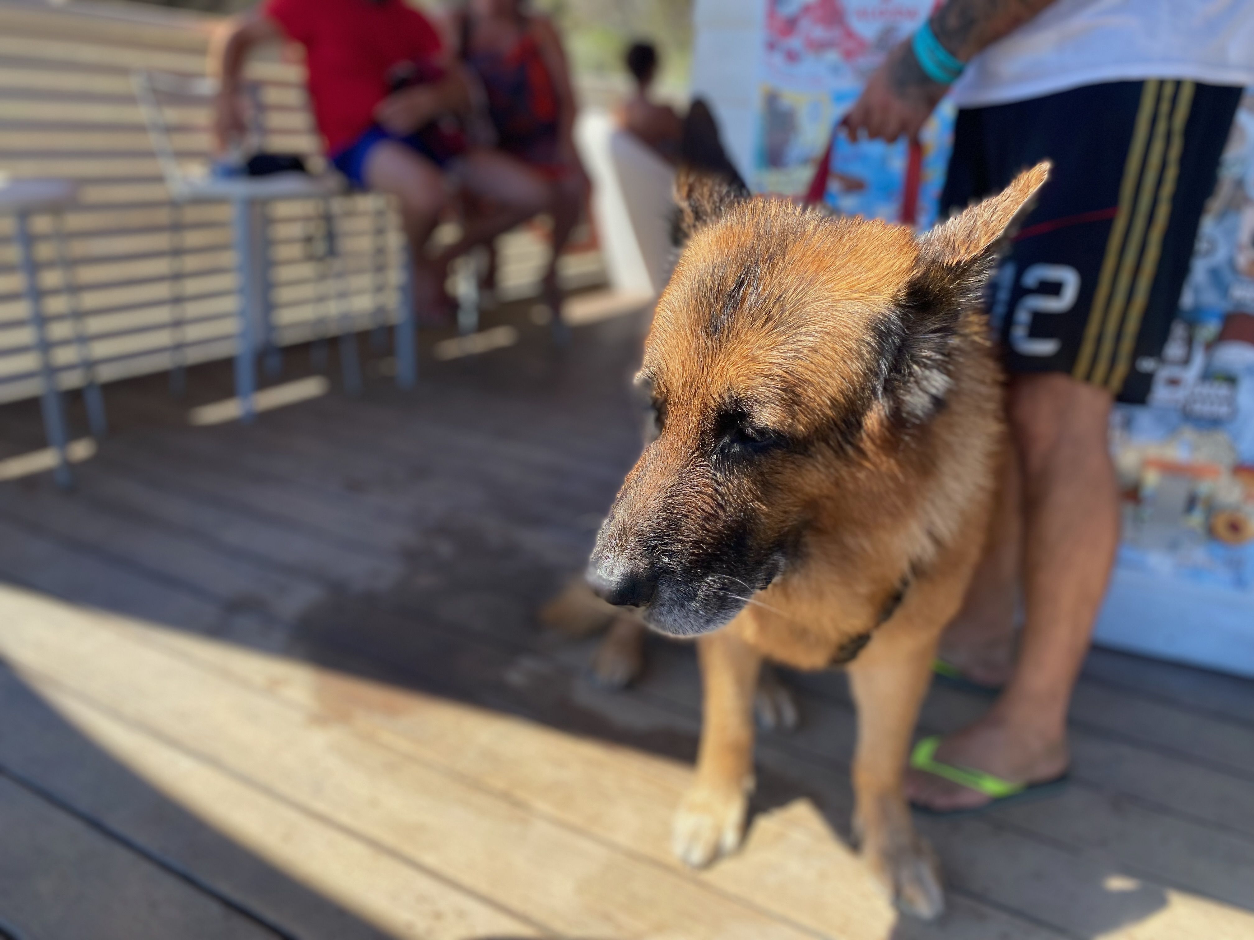 und unterwegs in belebter Umgebung mit Menschen - Begegnungen auf Reisen