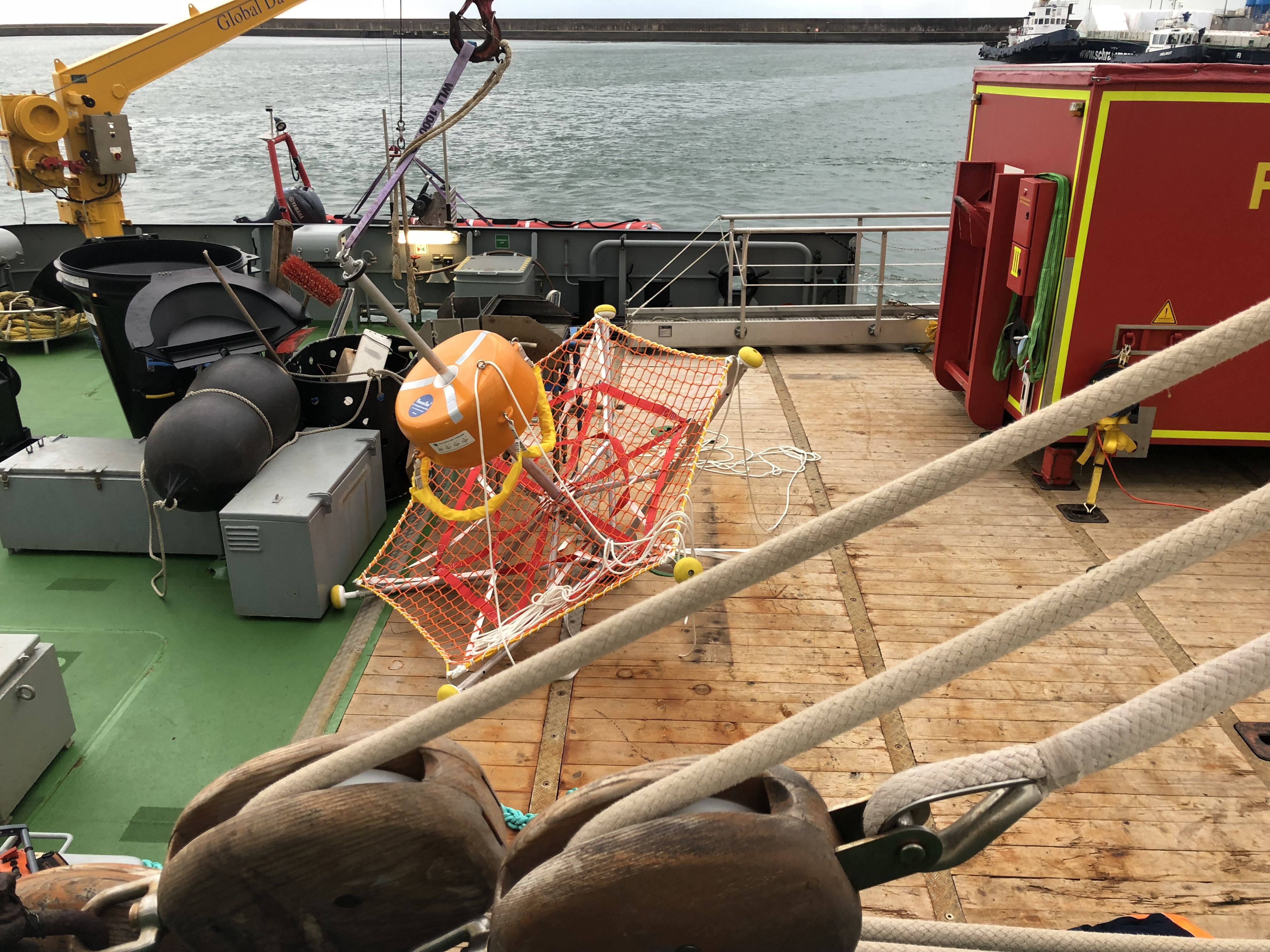 Forschung für NGO zusammen Wissen schaffen und Citizen Science finanzieren