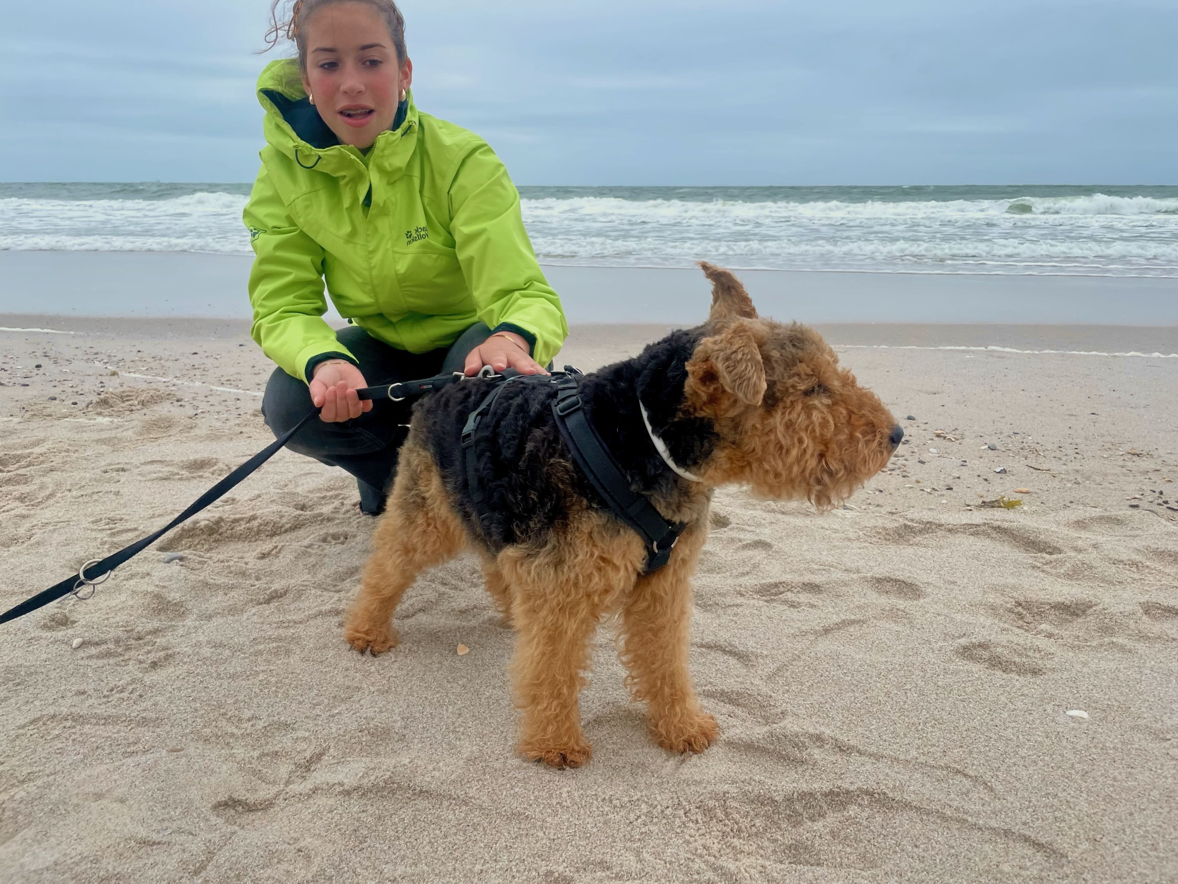 ind mit Hund am Strand am Meer – Urlaub und Vorbereitung auf Kreuzfahrt mit Hund und Familie