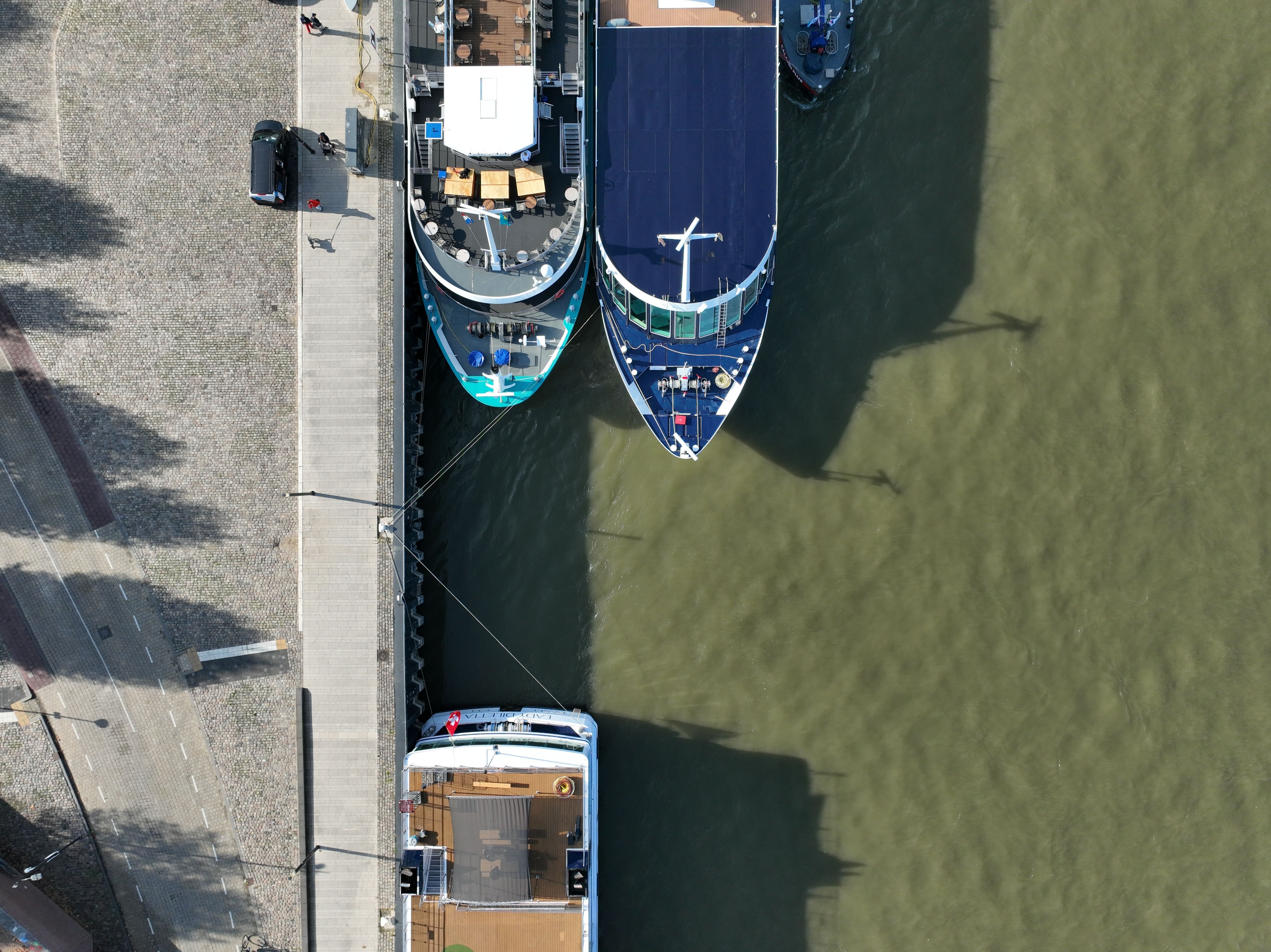 Mehrere Kreuzfahrtschiffe an einer Anlegestelle, ruhige Flussszene für eine entspannte Reise mit Vierbeiner