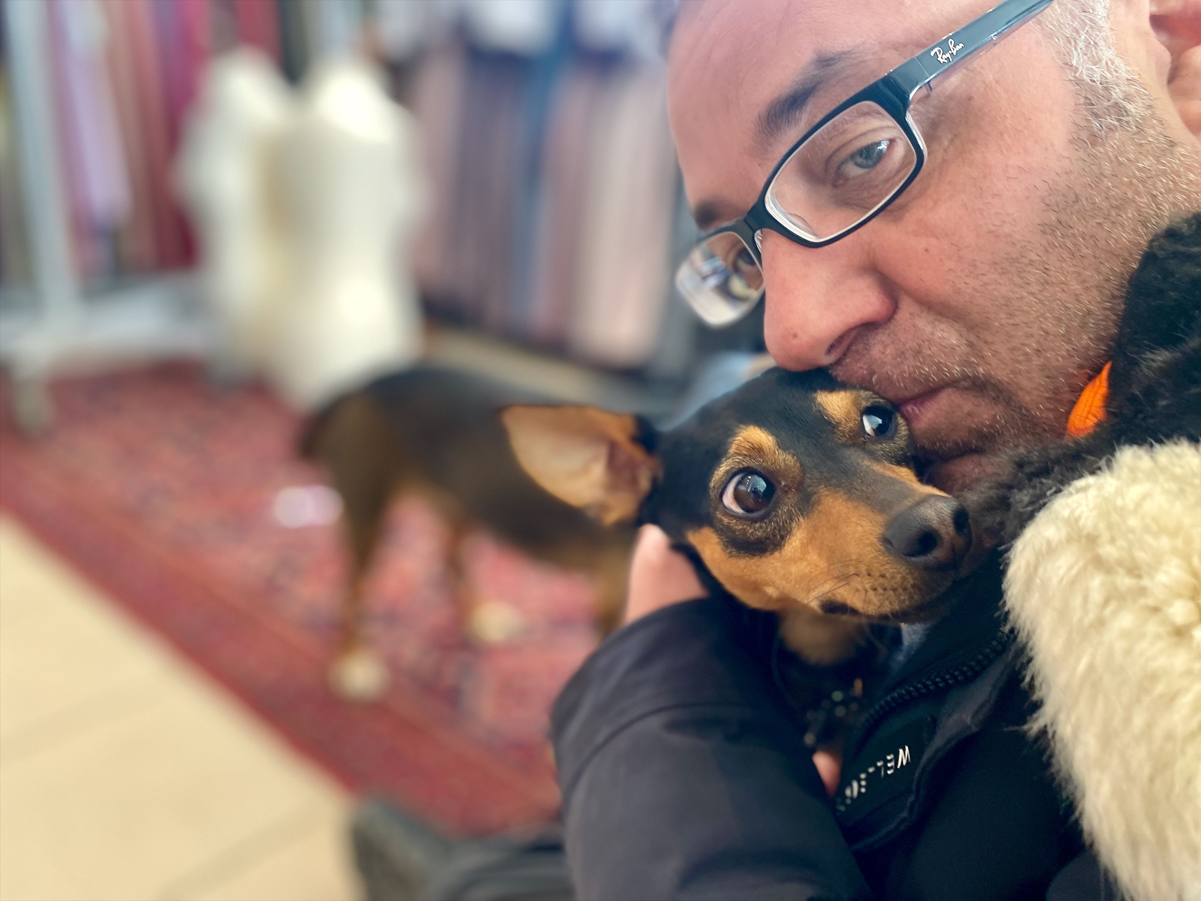 Kleiner schwarz-brauner Hund wird liebevoll im Arm gehalten - emotionales Hundefoto für ein Gewinnspiel