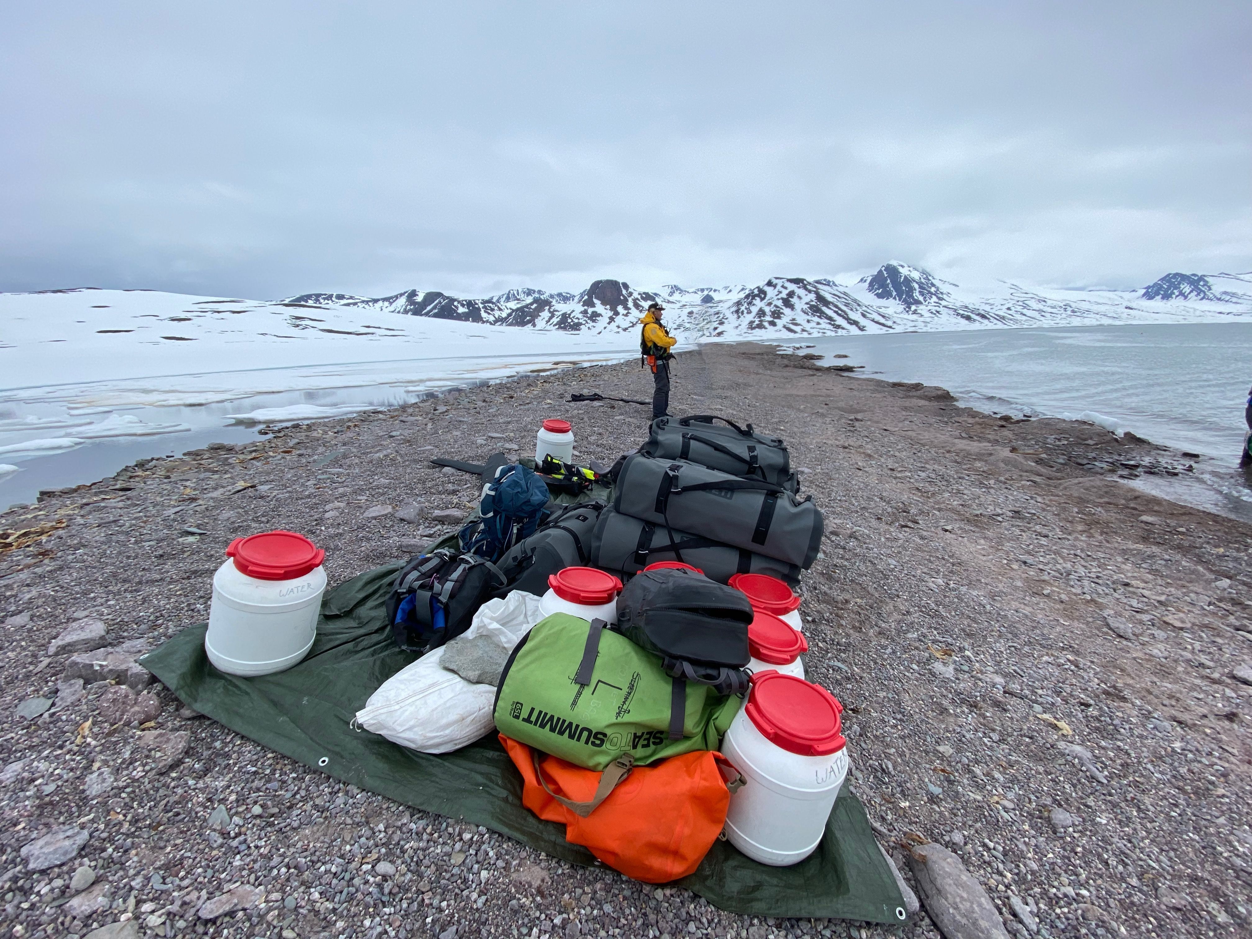 Forschungsprojket Antrag stellen Cizizen Science und Bürgerforschung für Studierende