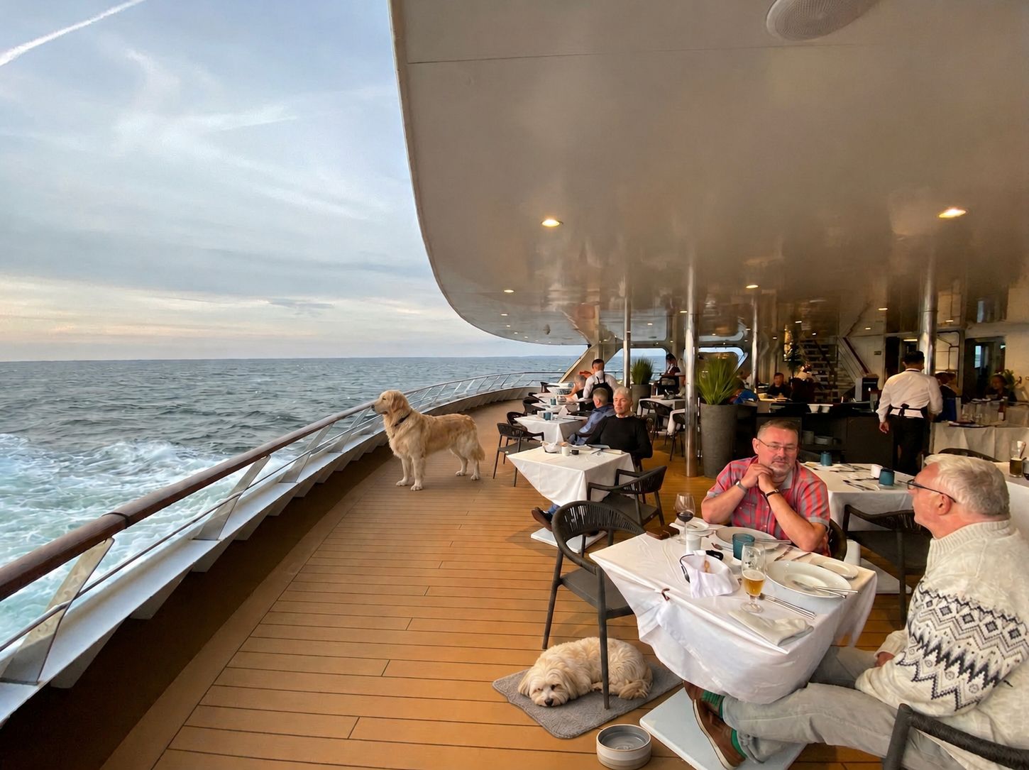 MS World Voyager - Entspanntes Dinner an Deck mit Meerblick und Hunden