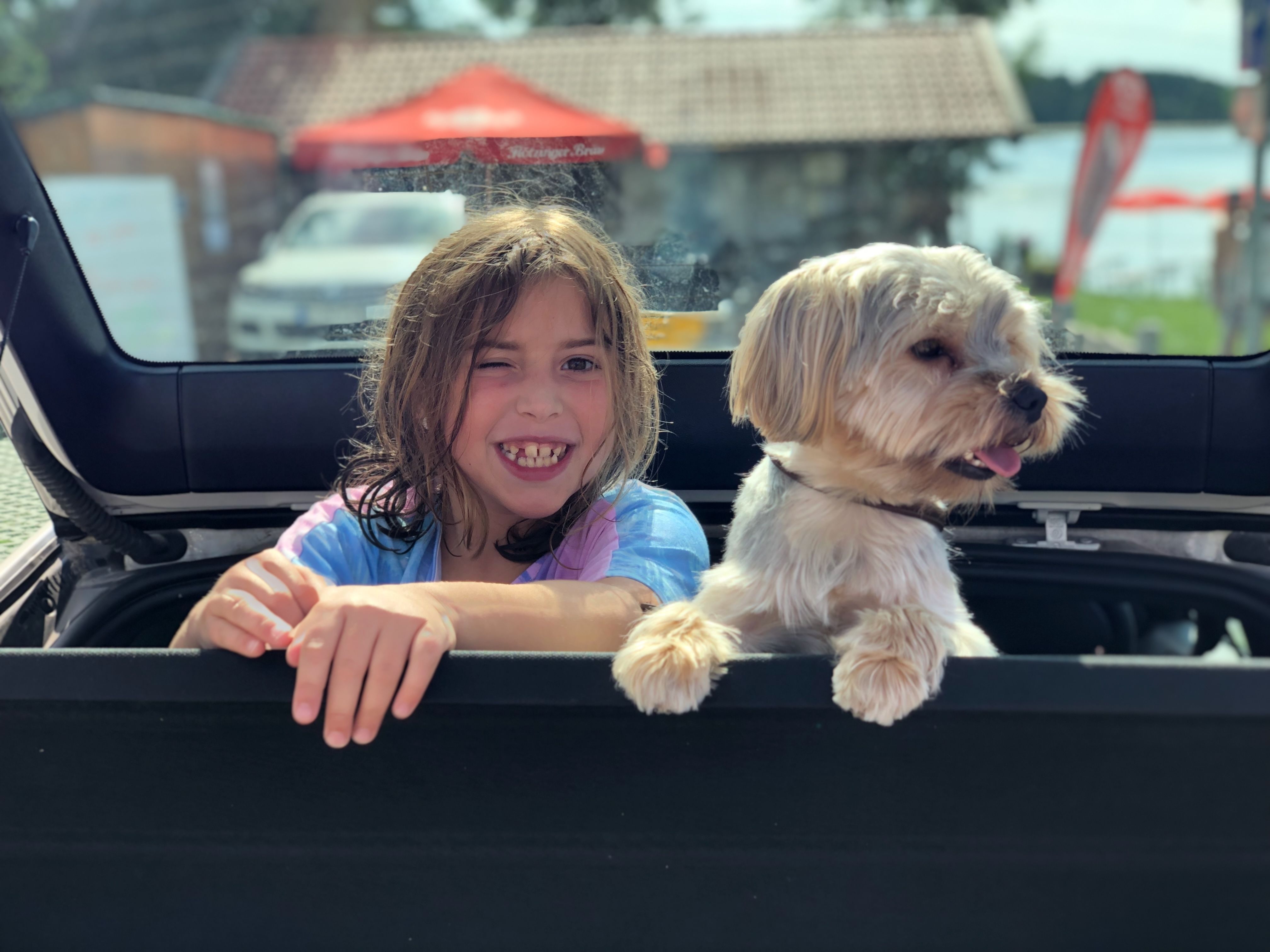 Kind und kleiner Hund schauen gemeinsam aus dem Auto während eines Urlaubs mit Hund