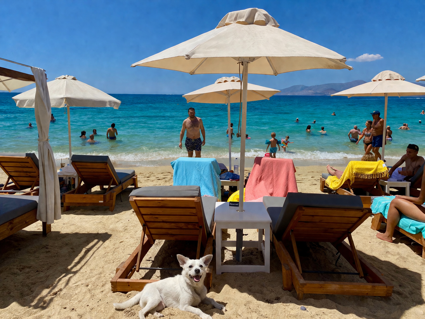 Kleiner weißer Hund liegt am Strand vor Liegen und Sonnenschirmen am Meer in Griechenland
