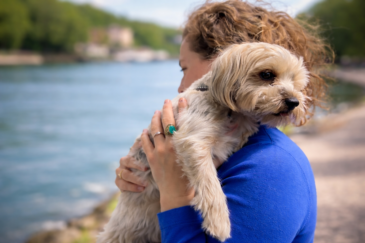 Besitzerin hält kleinen Hund am Ufer des Rheins mit Blick auf Rhein und Landschaft im Hintergrund