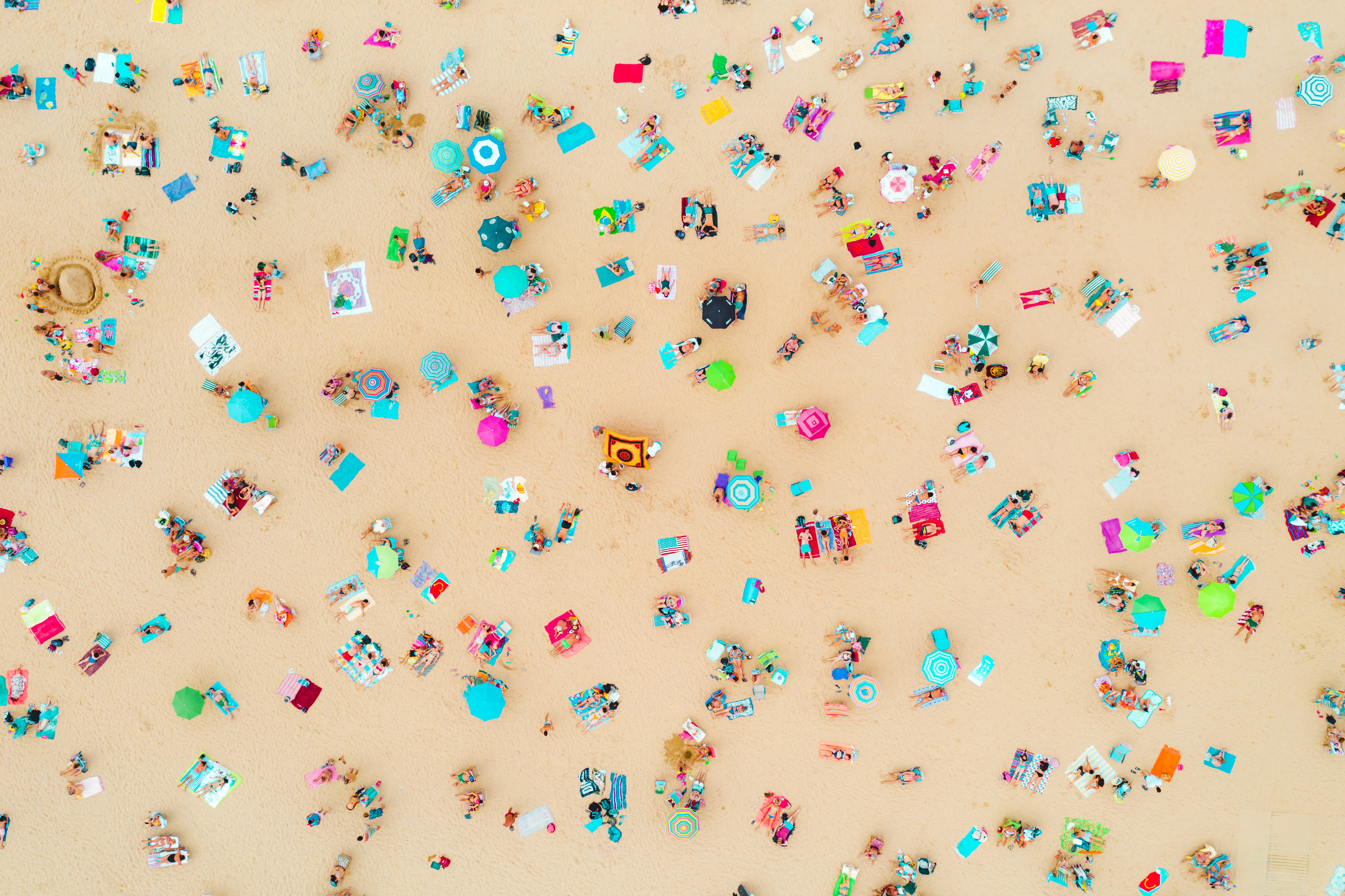 Nachhaltig reisen mit Citizen Science Kreuzfahrten auf Forschungsschiff und mit Buergern wissen schaffen