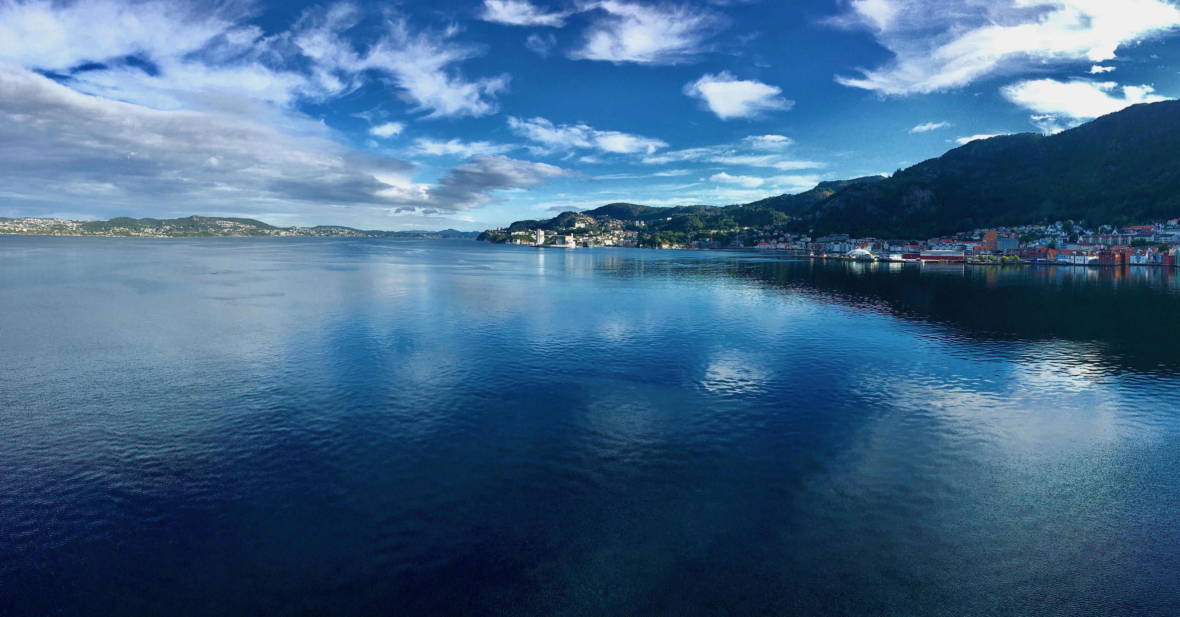 Norwegen Kreuzfahrt mit Hund mit Blick über Fjord, ruhiges Meer und Küstenstadt unter blauem Himmel