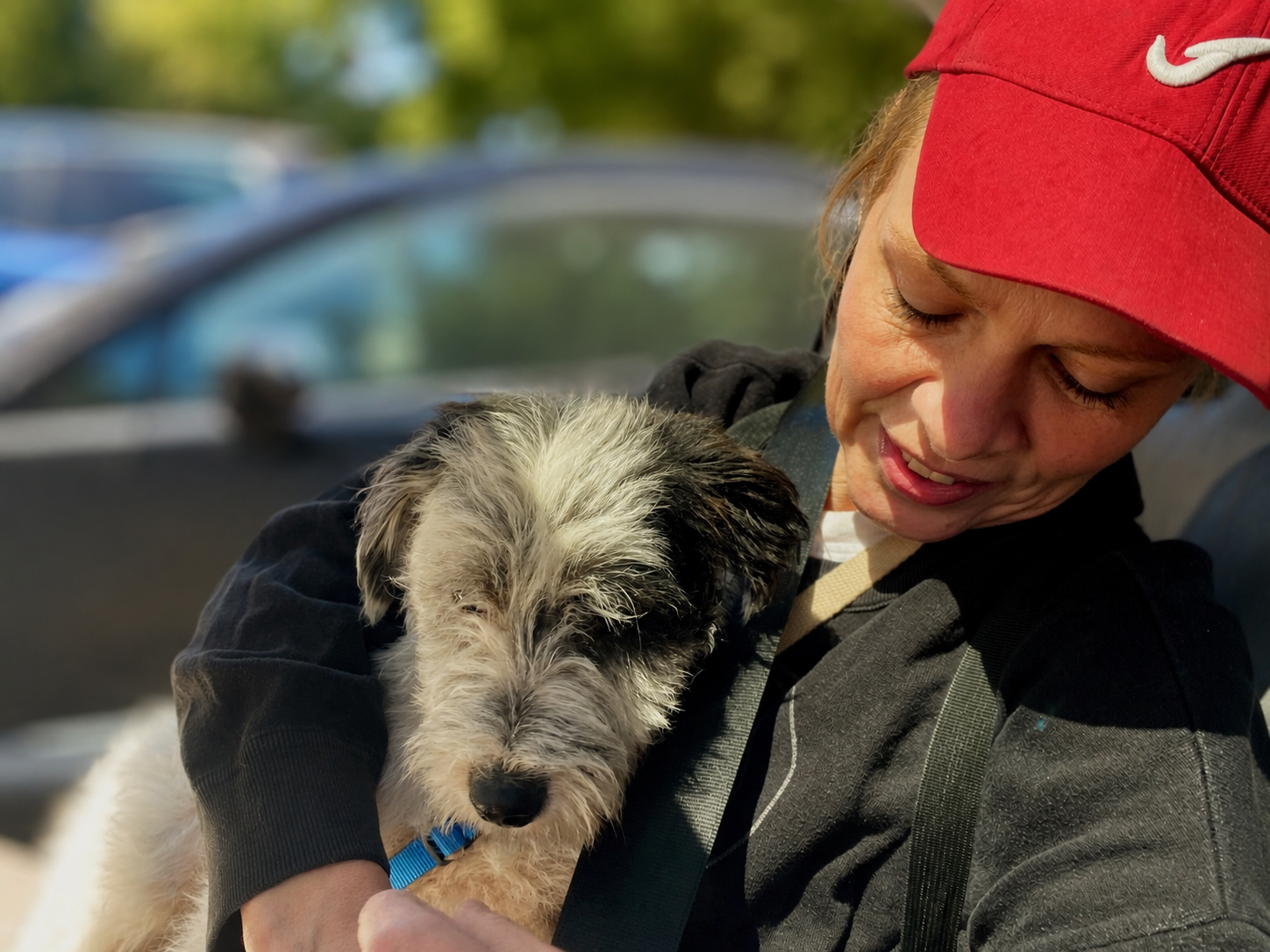 Frau schützt ihren Hund bei Hitze auf Reisen vor dem heißen Auto