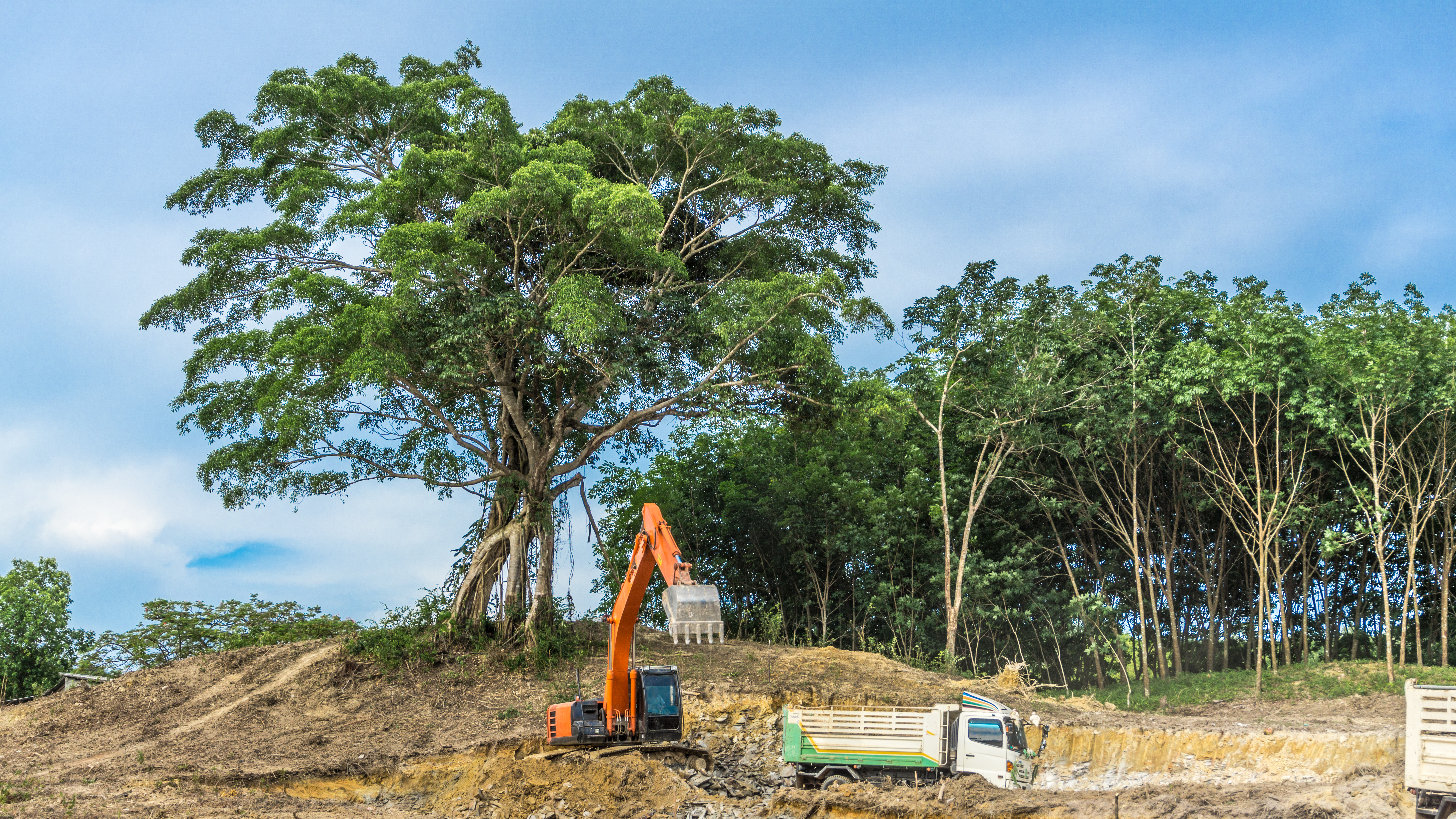 An marinen Umweltschutzprojekten als Schueler, Lehrer, Tutor, Dozent aktiv an Bord Forschungsschiff erforschen und  studieren