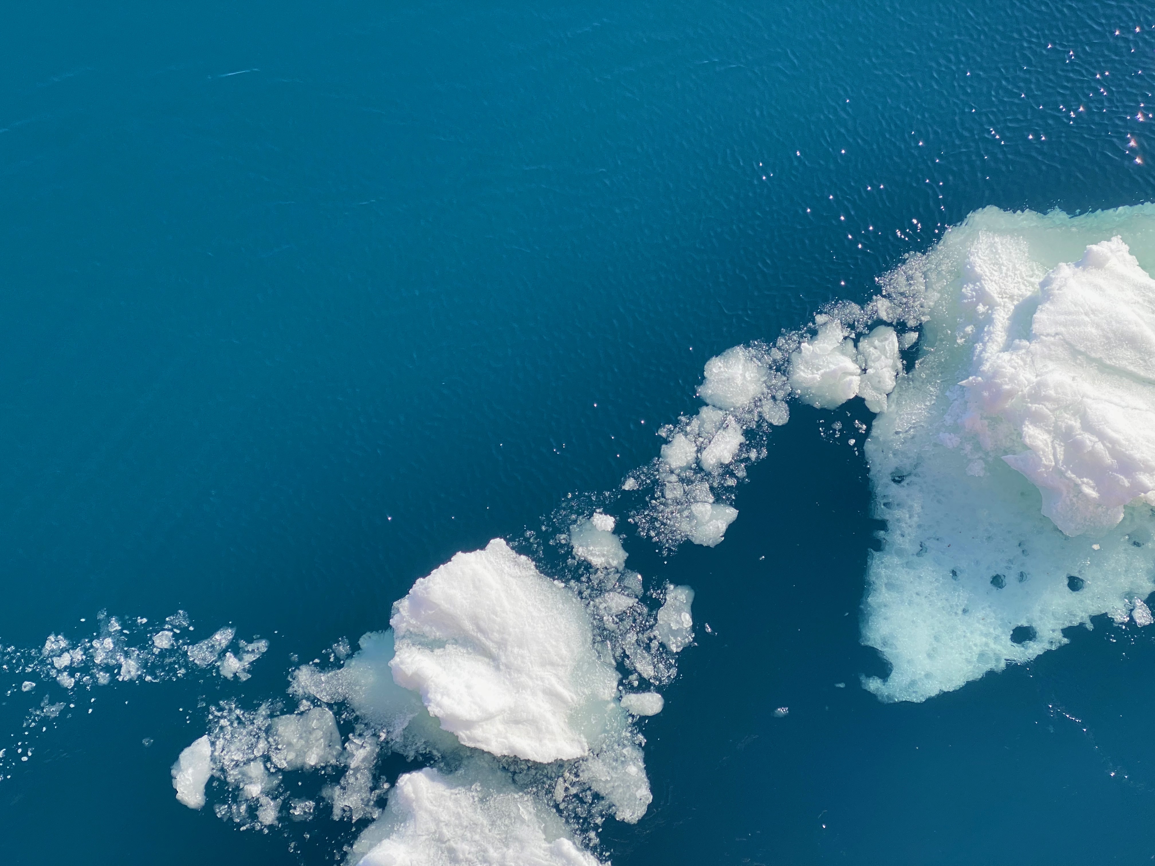 Marinen Umweltschutz mit Citizenscience und als Buerger schaffen Wissen aktiv teilnehmen und Teammitgiled gegen Umweltverschmutzung forschen