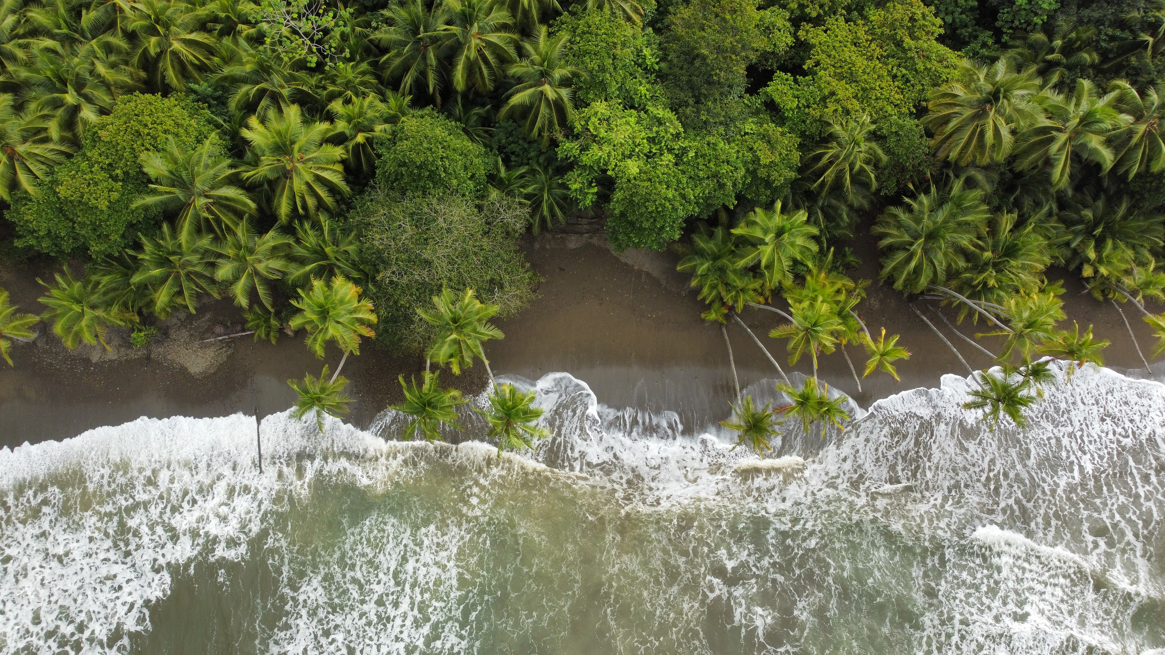 Maritime Umweltschutzprojekte als Schueler, Lehrer, Tutor, Dozent aktiv als Umweltschützer teilnehmen und durchführen