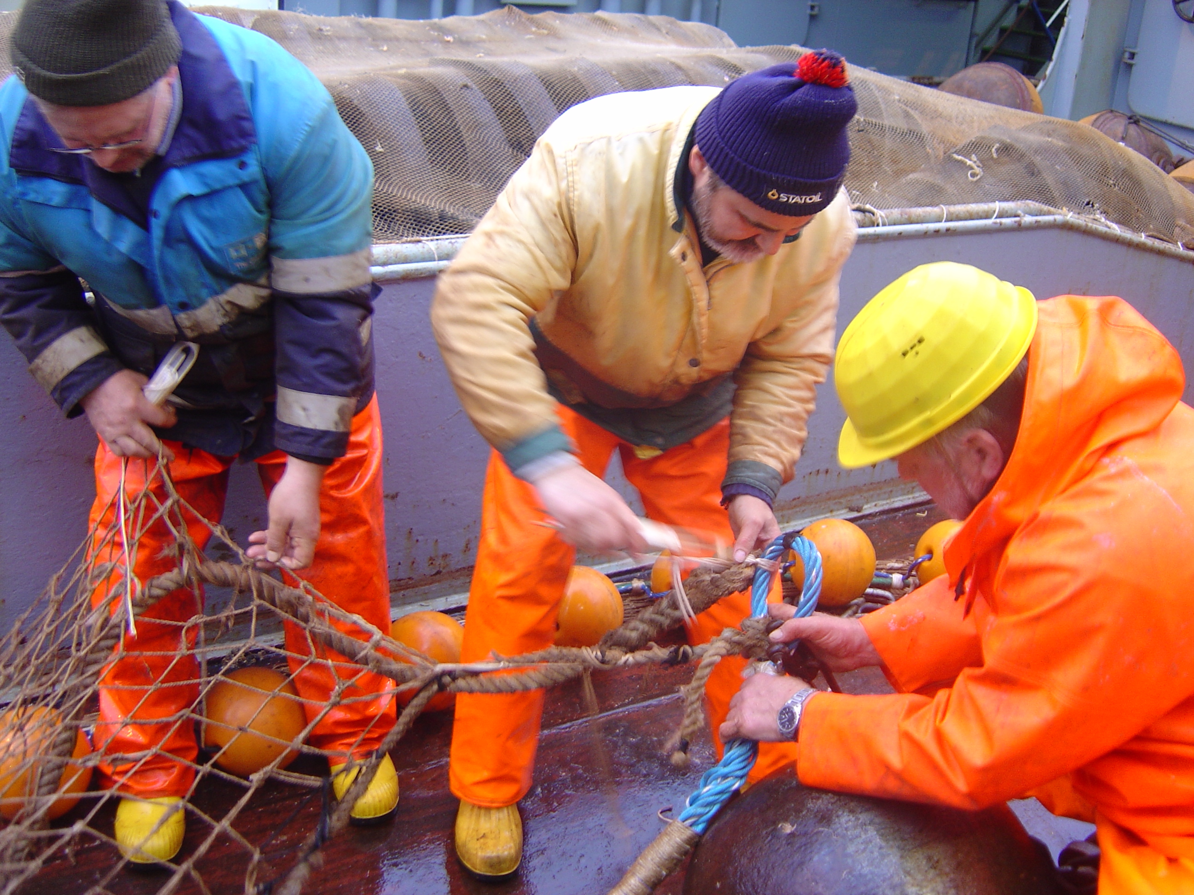 Meeresbiologie auf Kreuzfahrtschiff studieren und mit Citizen Science einen Beitrag zum Umweltschutz leisten