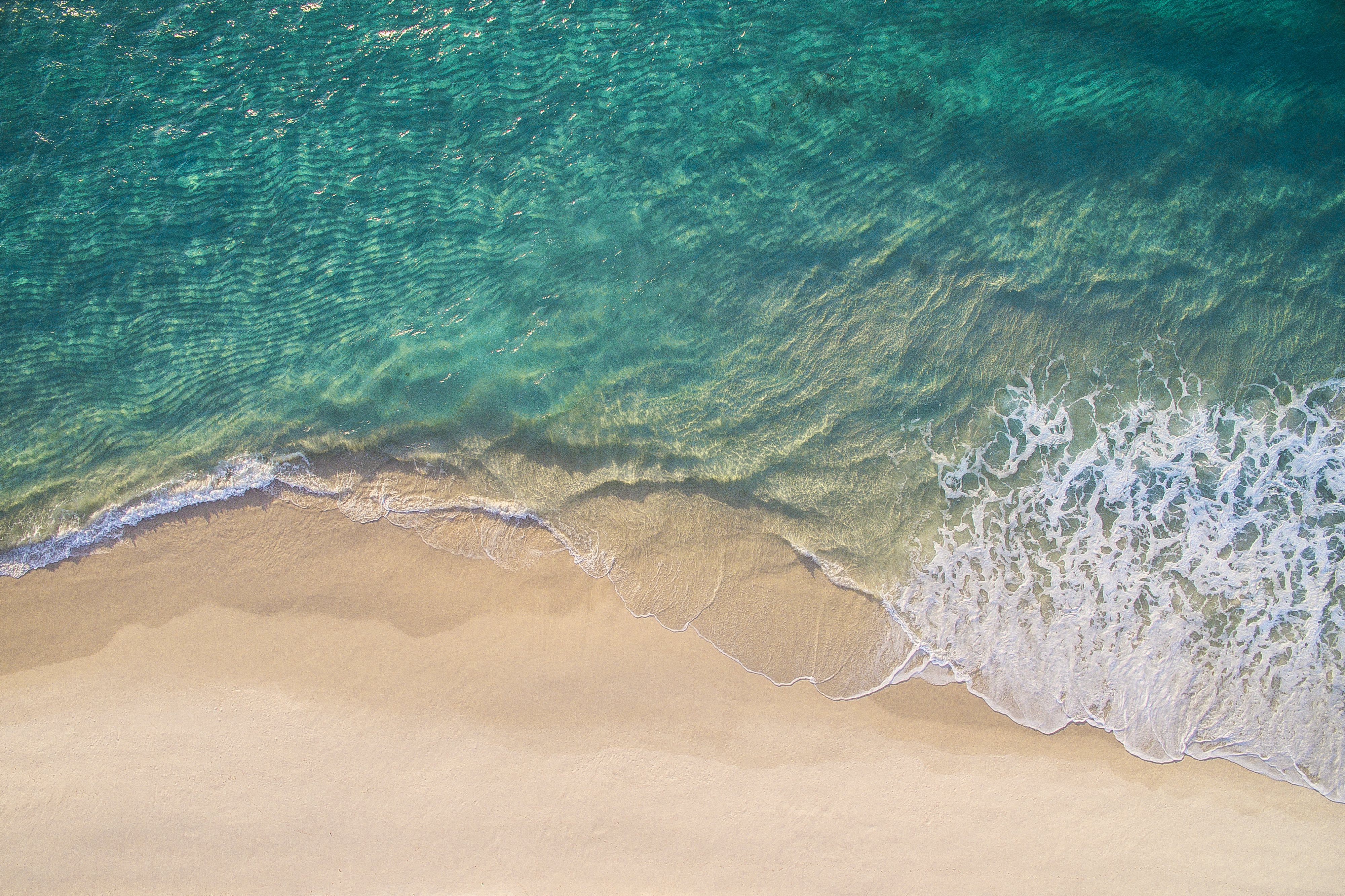 Meeresbiologie Umweltschutz aktiv teilnehmen durch Forschungsteam und als Buerger Wissen schaffen