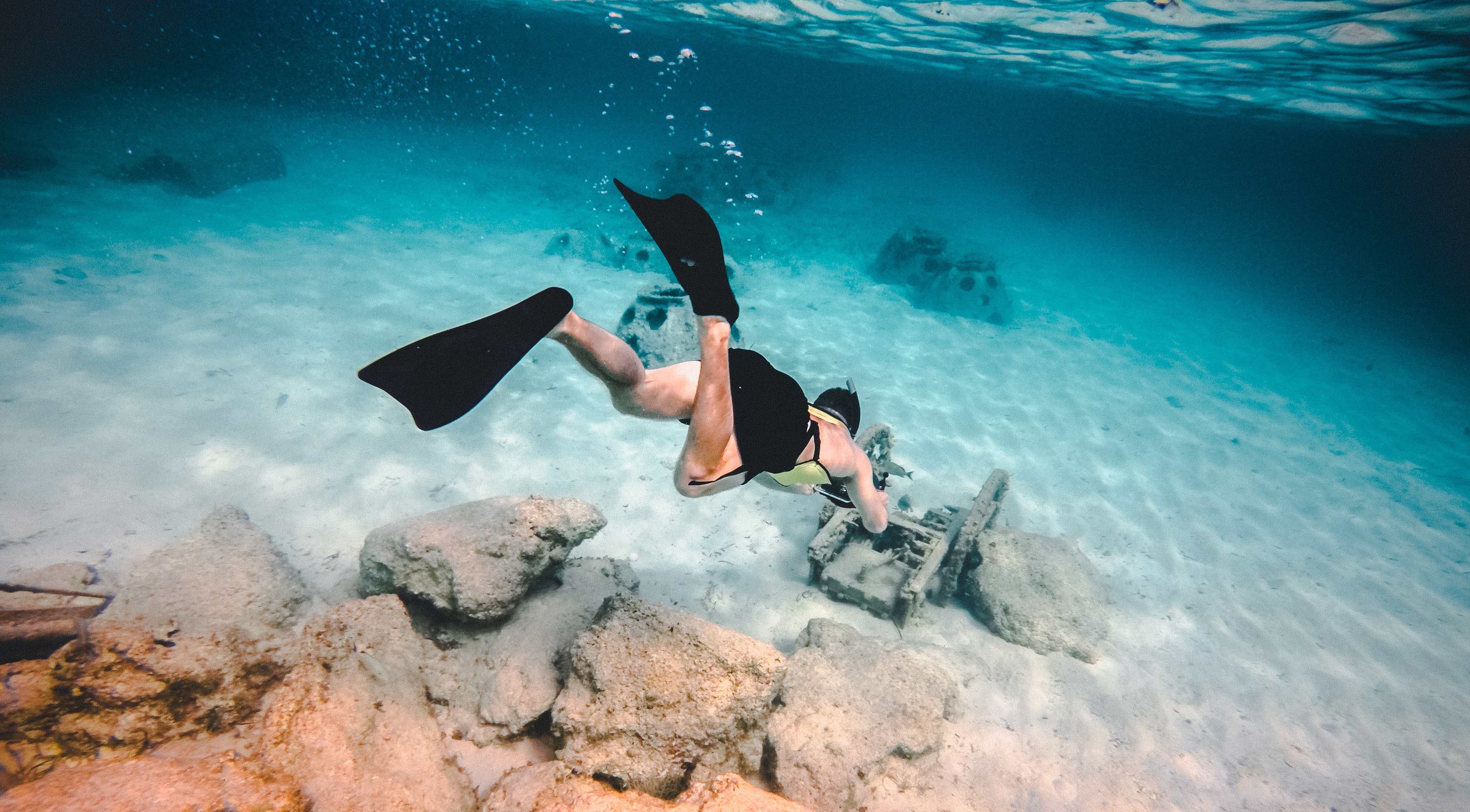 Eingereichte Citizen Science Forschungsprojekte