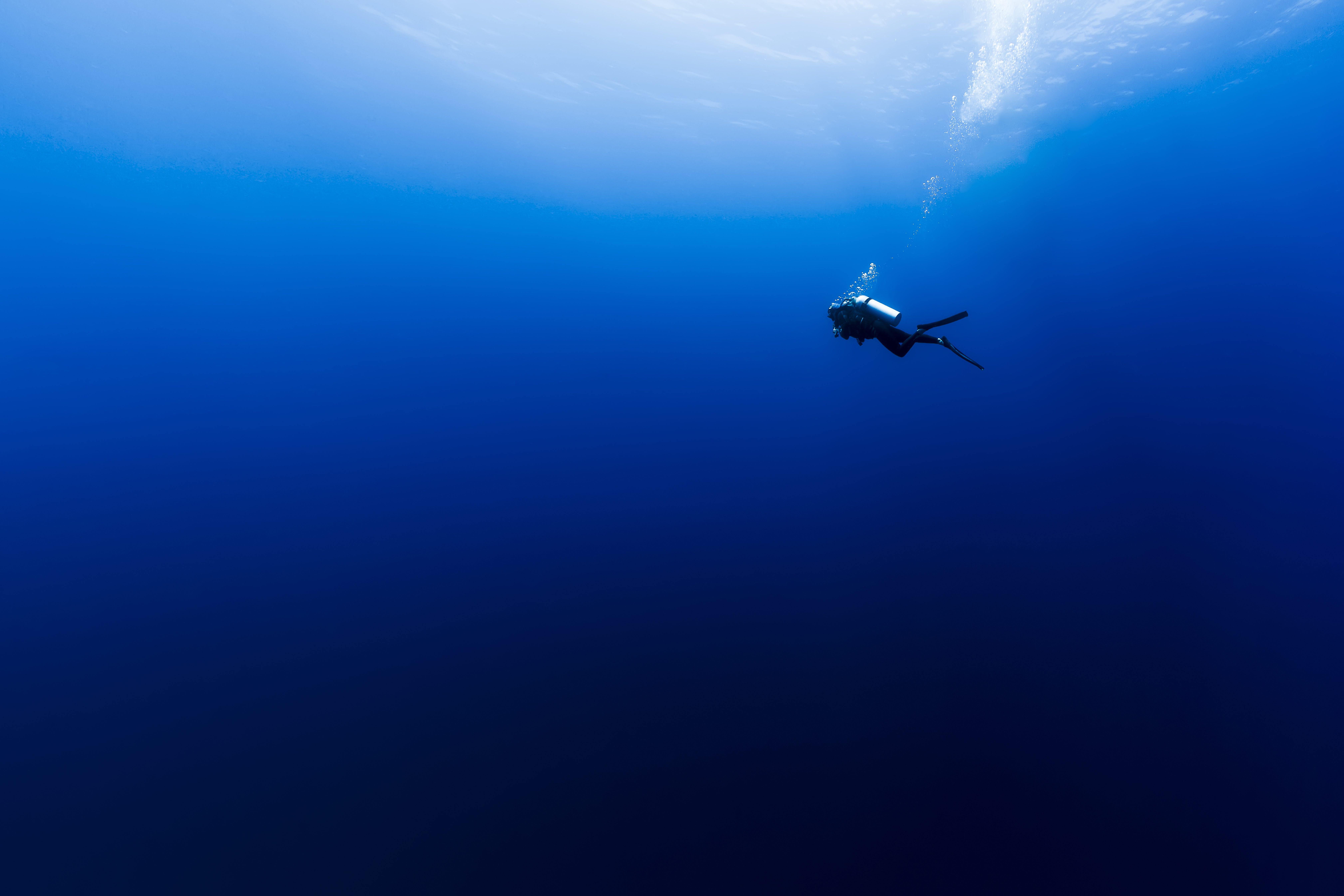 Bürger forschen mit am Klimaschutz auf unserer Citizen Science Plattform für Bürgerwissenschaften