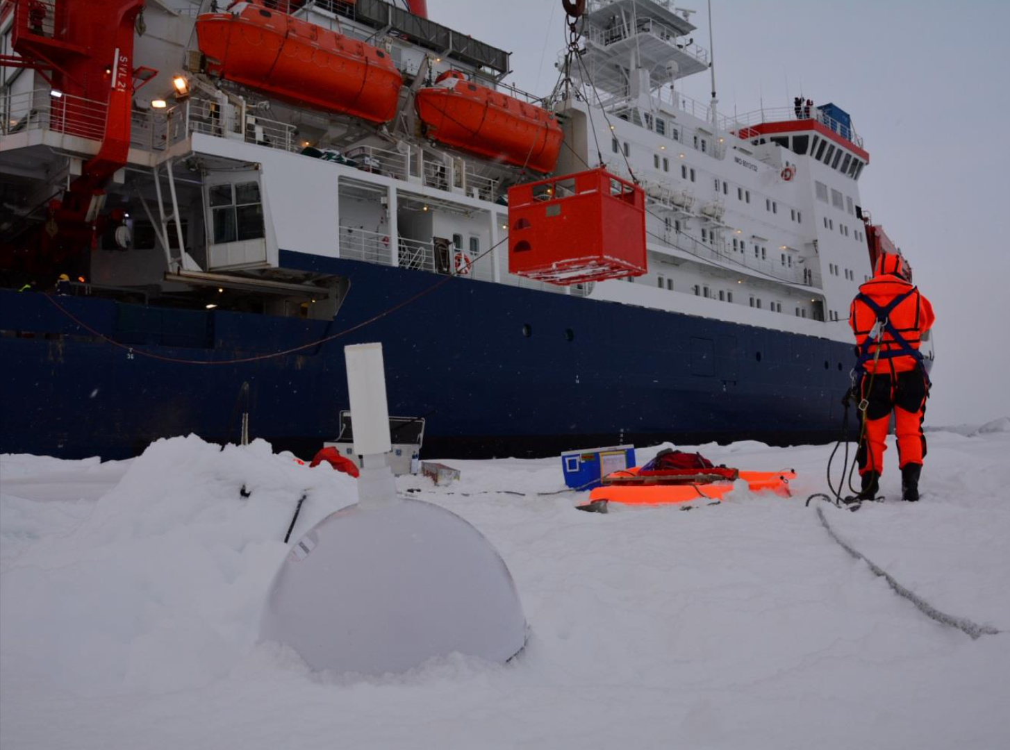 Citizen Science Plattform für Projekte und Aktionen mit Bürger Engagement zusammen Wissen schaffen