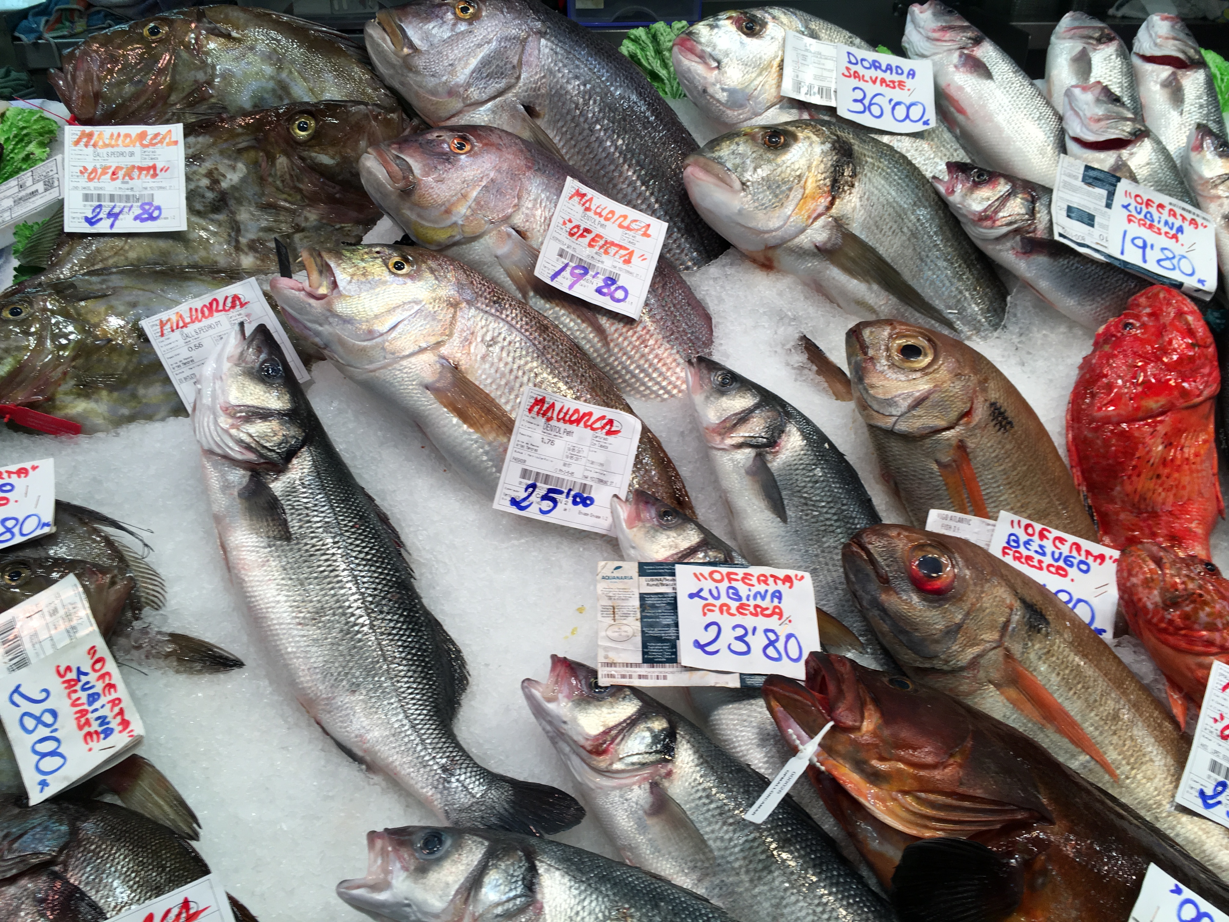 Forschungsthema Klimaschutz für Studierende zur Datenanalyse im Wissenschaftssystem Citizen Science