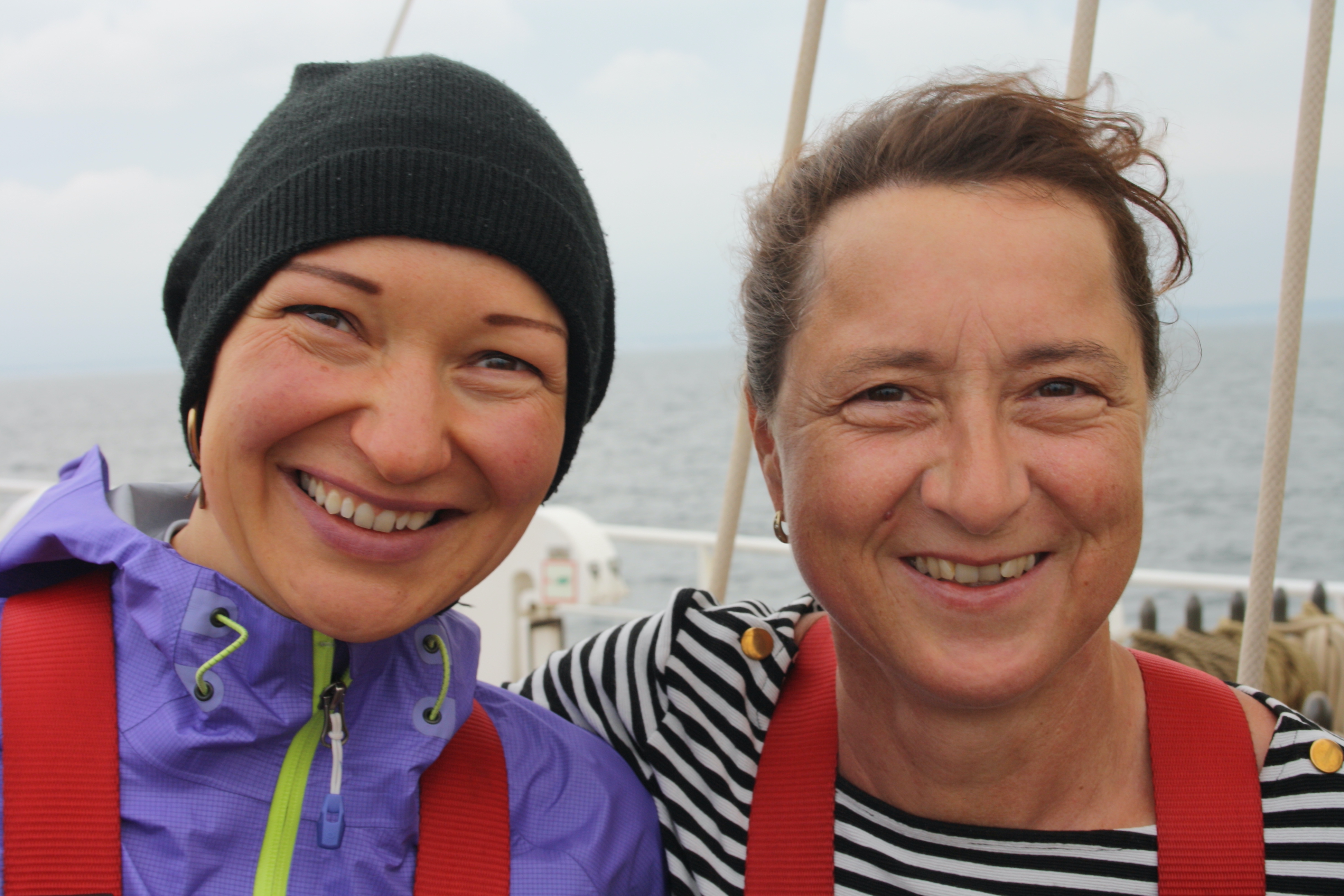 NGO Citzen Science Aktionen zum Mitforschen und Engagement zur Datenanalyse bei Forschungsthemen