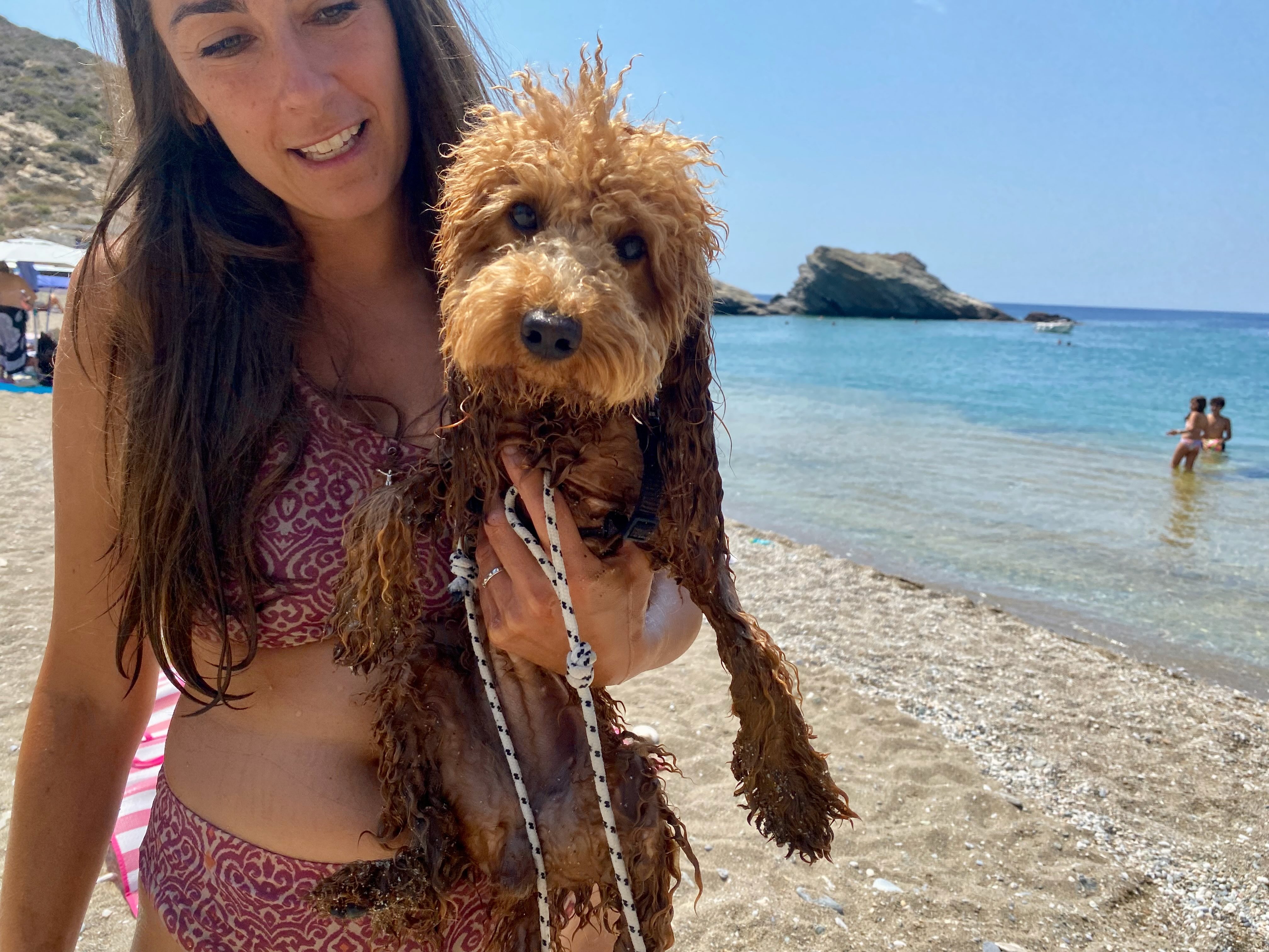 Frau mit Hund am Strand am Meer – Urlaub mit Hund Kreuzfahrt während hundefreundlicher Schiffreise