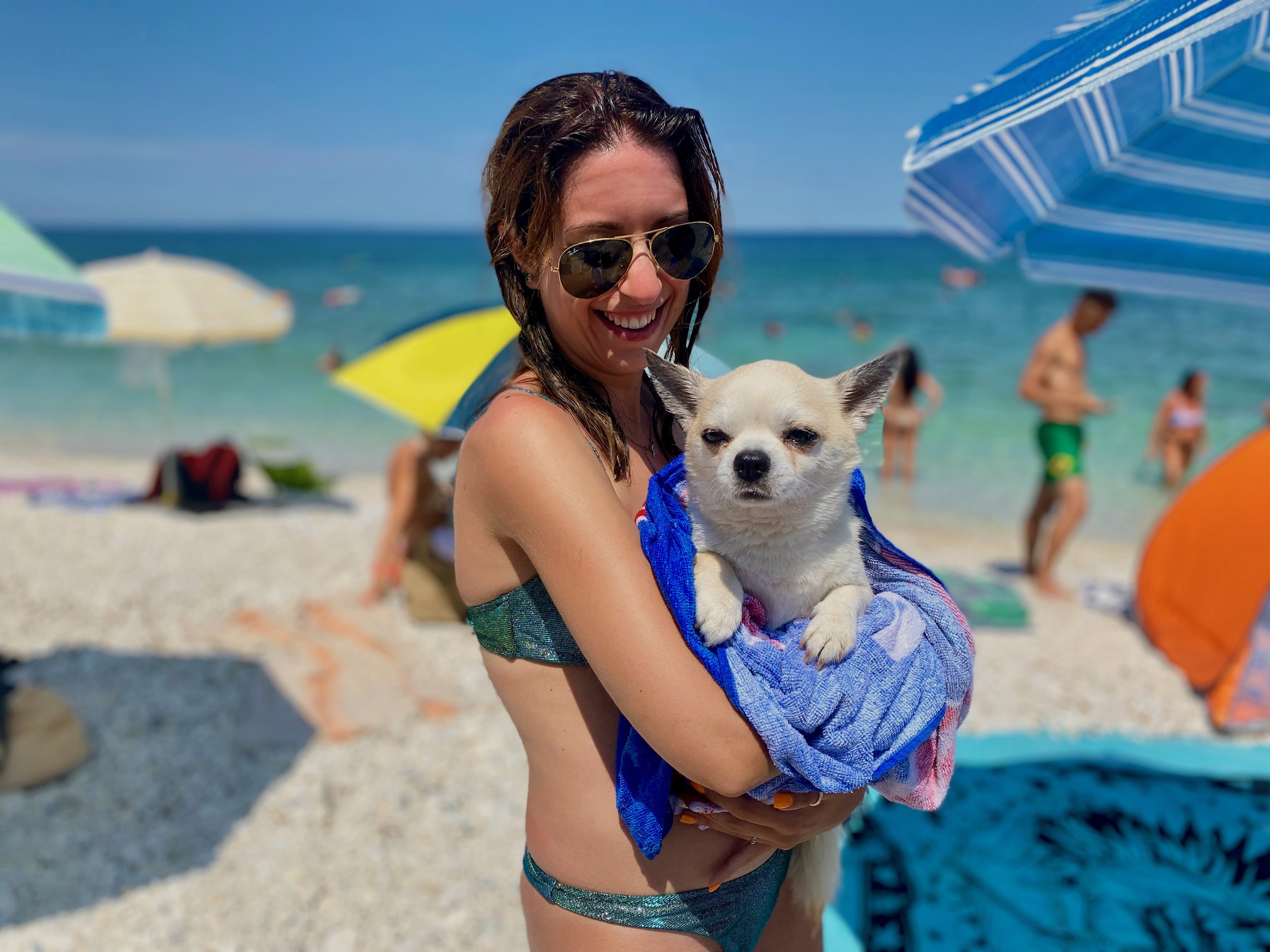 Frau mit Chihuahua am Strand im Urlaub mit Hund während einer Hundekreuzfahrt