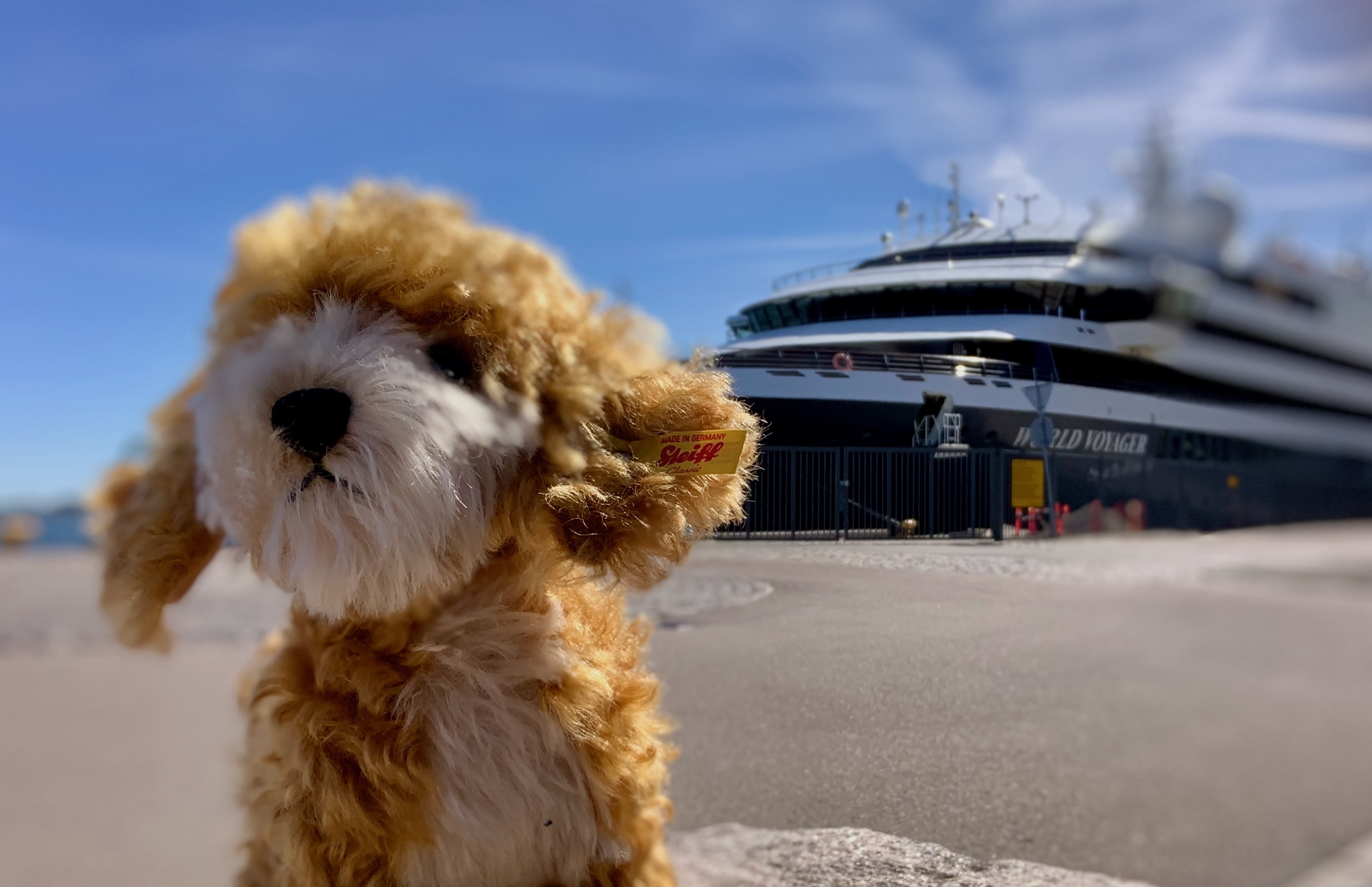 Hundekreuzfahrt - Kreuzfahrt mit Hund vor Kreuzfahrtschiff