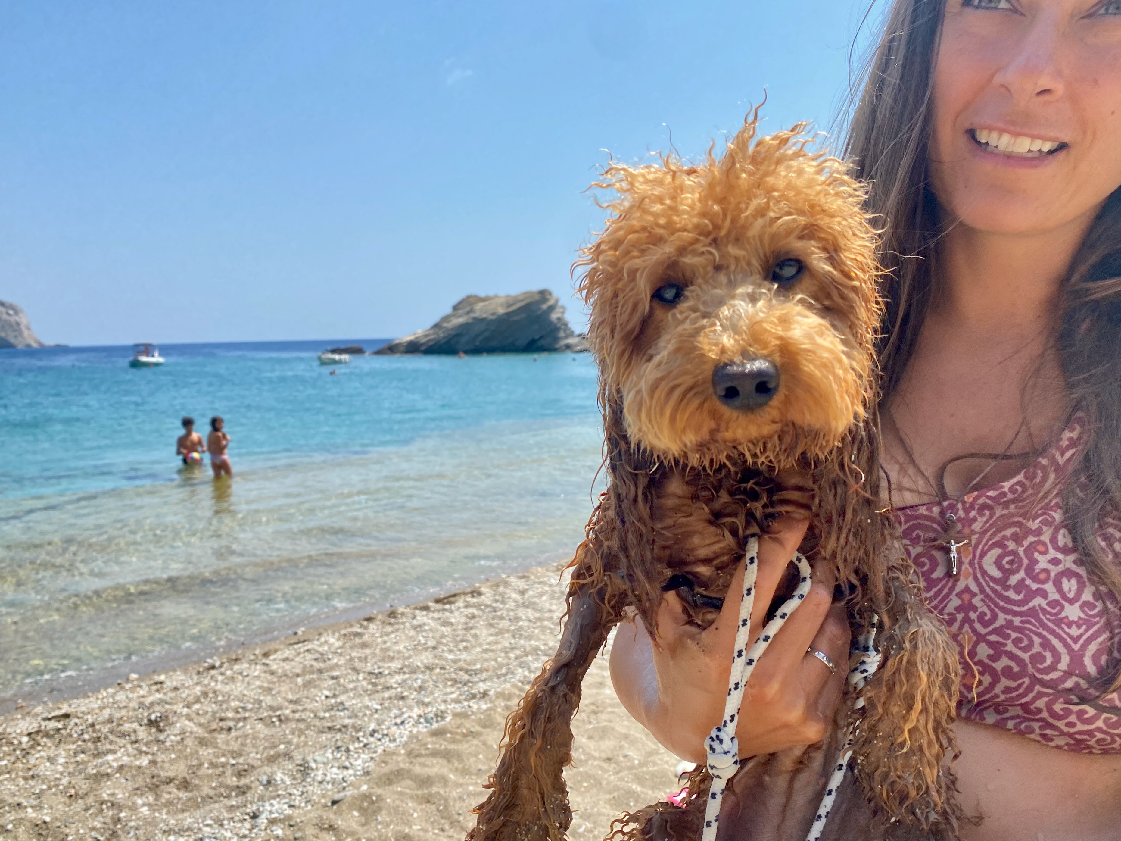 Hund nass vom Baden am Strand mit Besitzerin am Meer - Urlaub mit Hund und Hundekreuzfahrt Inspiration